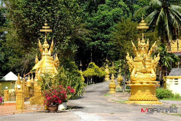 วัดป่ายาง ชุมพร