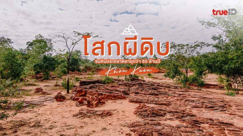 โสกผีดิบ ขอนแก่น