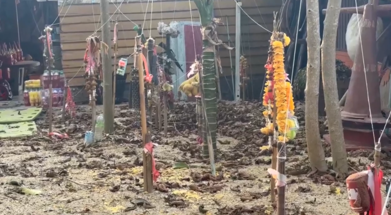  สุสานป่าช้าฝังเด็กตายท้องกลม อ.วิเศษชัยชาญ จ.อ่างทอง