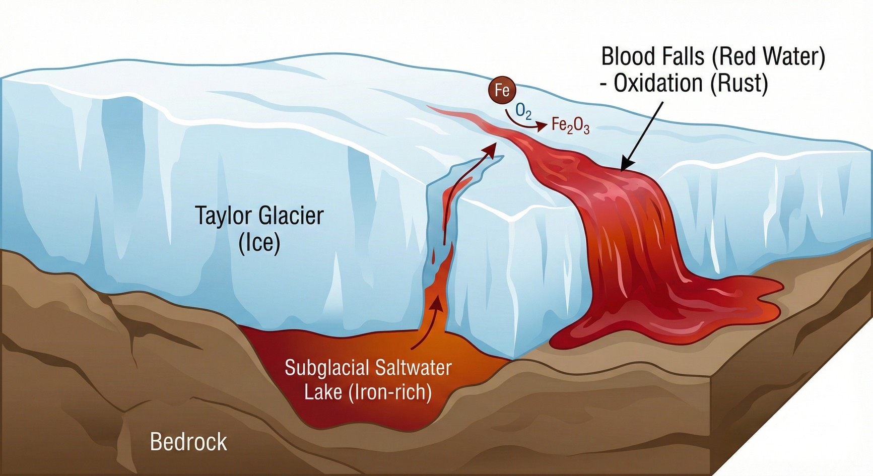 Blood Falls (น้ำตกเลือด) | แอนตาร์กติกา
