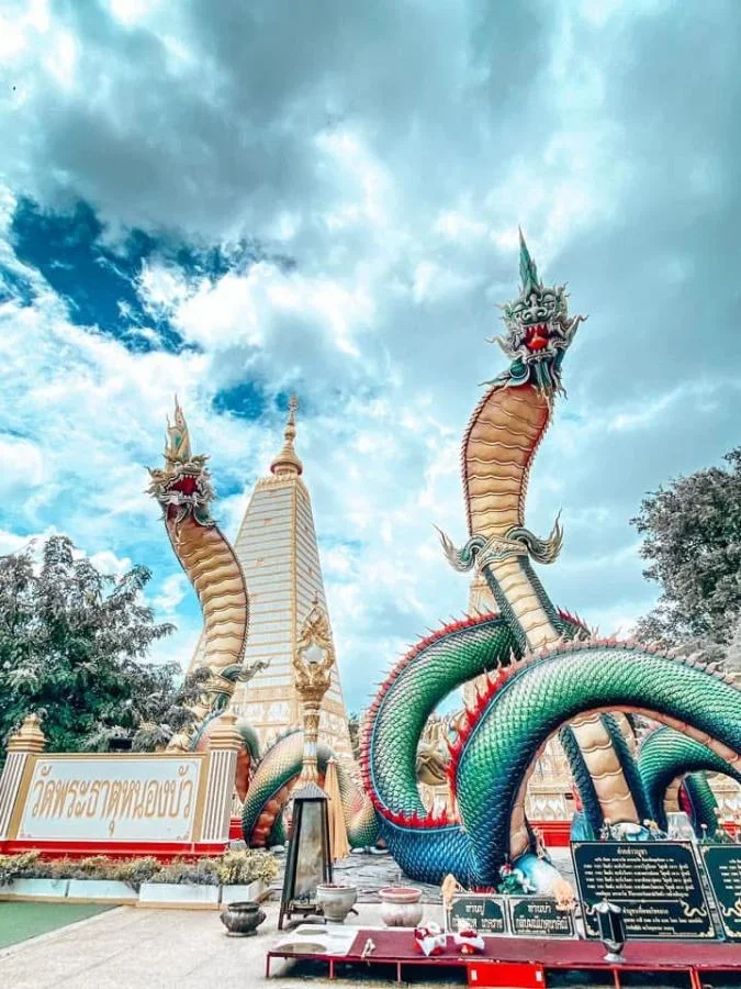วัดพระธาตุหนองบัว