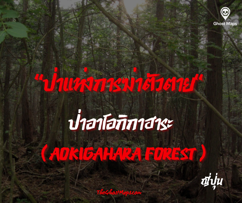 ป่าอาโอกิกาฮาระ  ญี่ปุ่น "ป่าแห่งการฆ่าตัวตาย"
