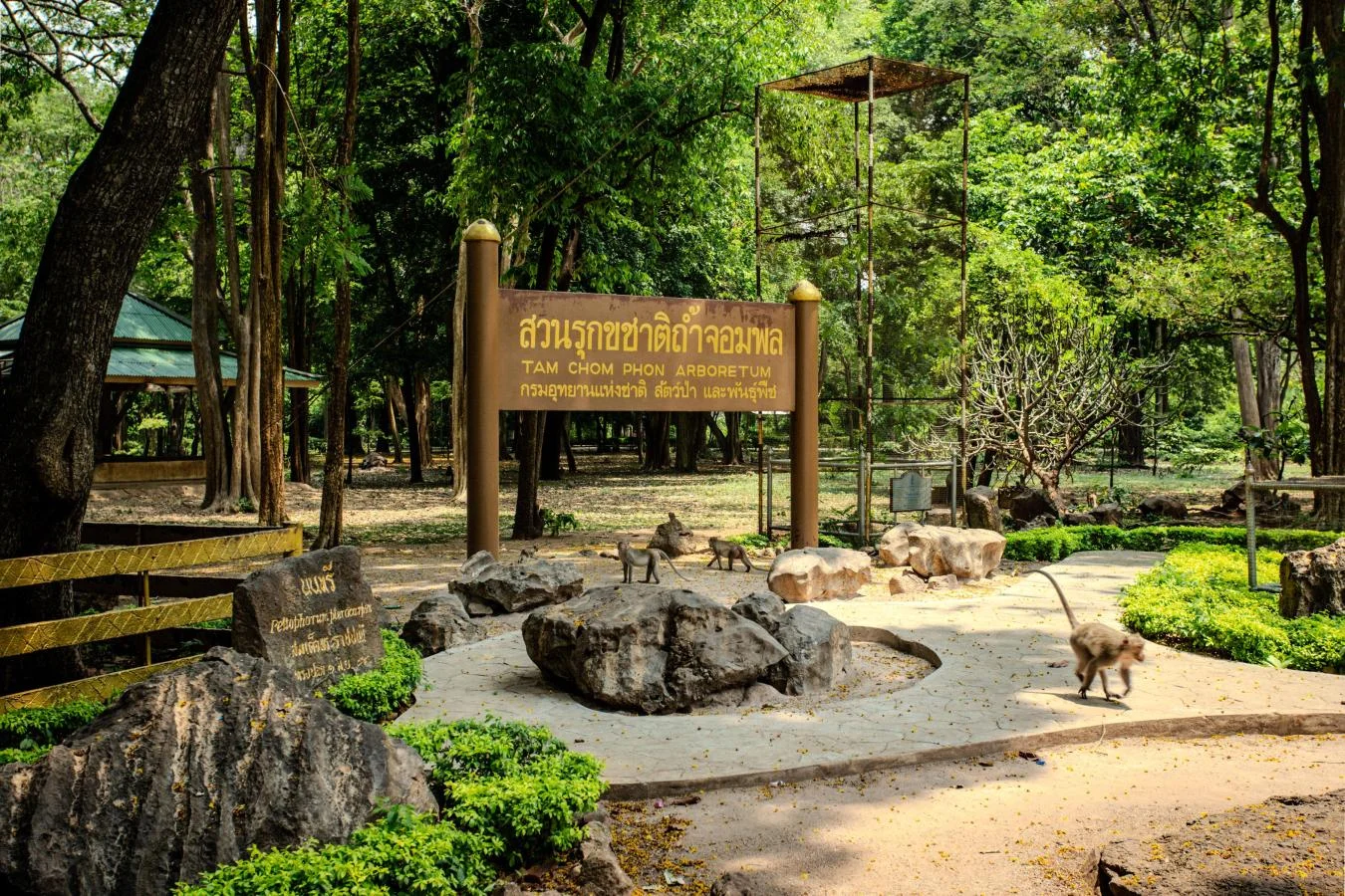 สวนรุกขชาติถ้ำจอมพล ราชบุรี